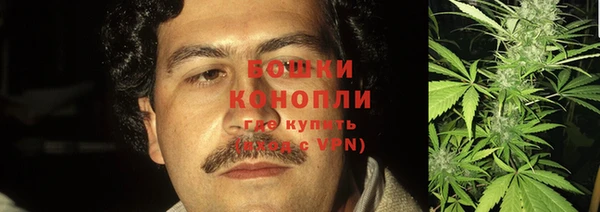 гидра Калининец