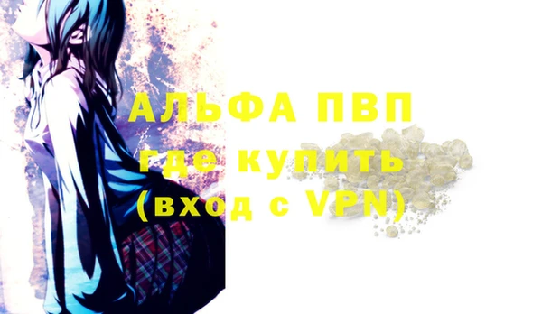 гидра Калининец