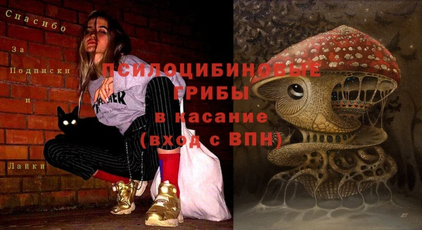 jwh Нестеровская