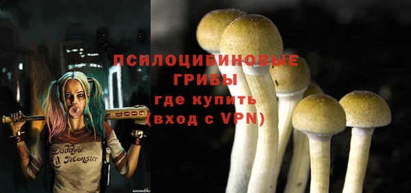 гашик Баксан