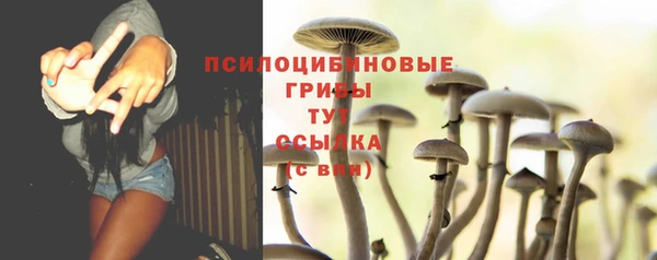 ECSTASY Балахна