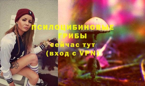 гашик Баксан