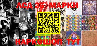 прущие грибы Владикавказ