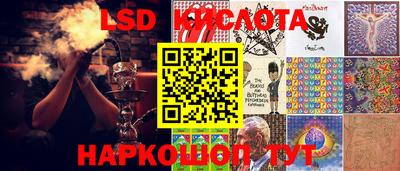 прущие грибы Владикавказ