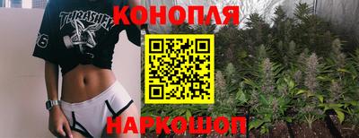 прущие грибы Владикавказ