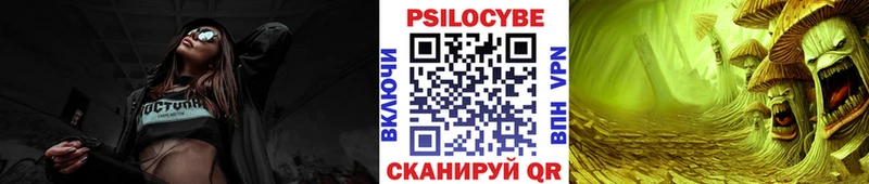 Псилоцибиновые грибы Psilocybe  где найти наркотики  Белогорск 