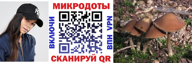 Галлюциногенные грибы мухоморы Белогорск