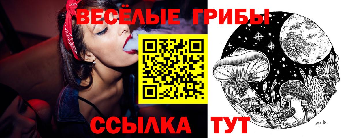 Белогорск  Псилоцибиновые грибы Psilocybine cubensis  Вход с VPN 
